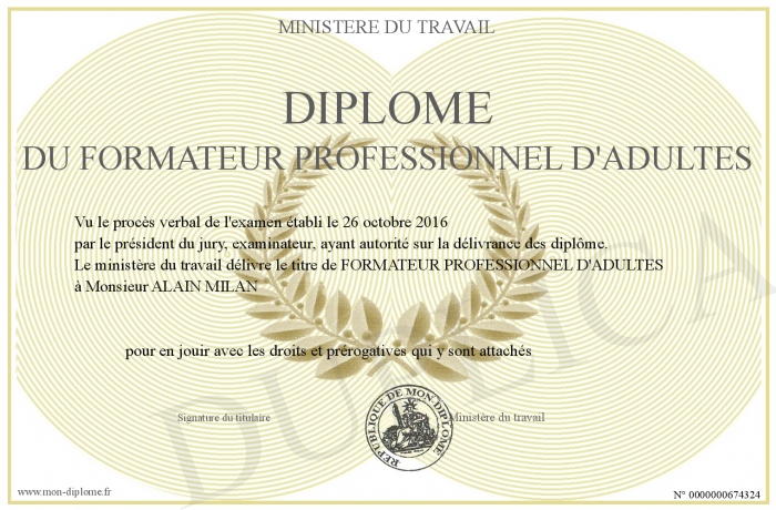 diplome formateur adulte